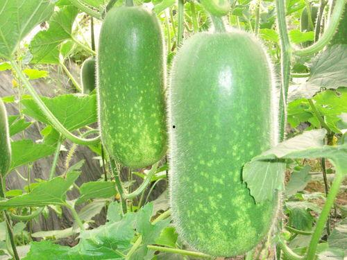 吃瓜娱乐图片高清无水印,捕捉娱乐圈精彩瞬间